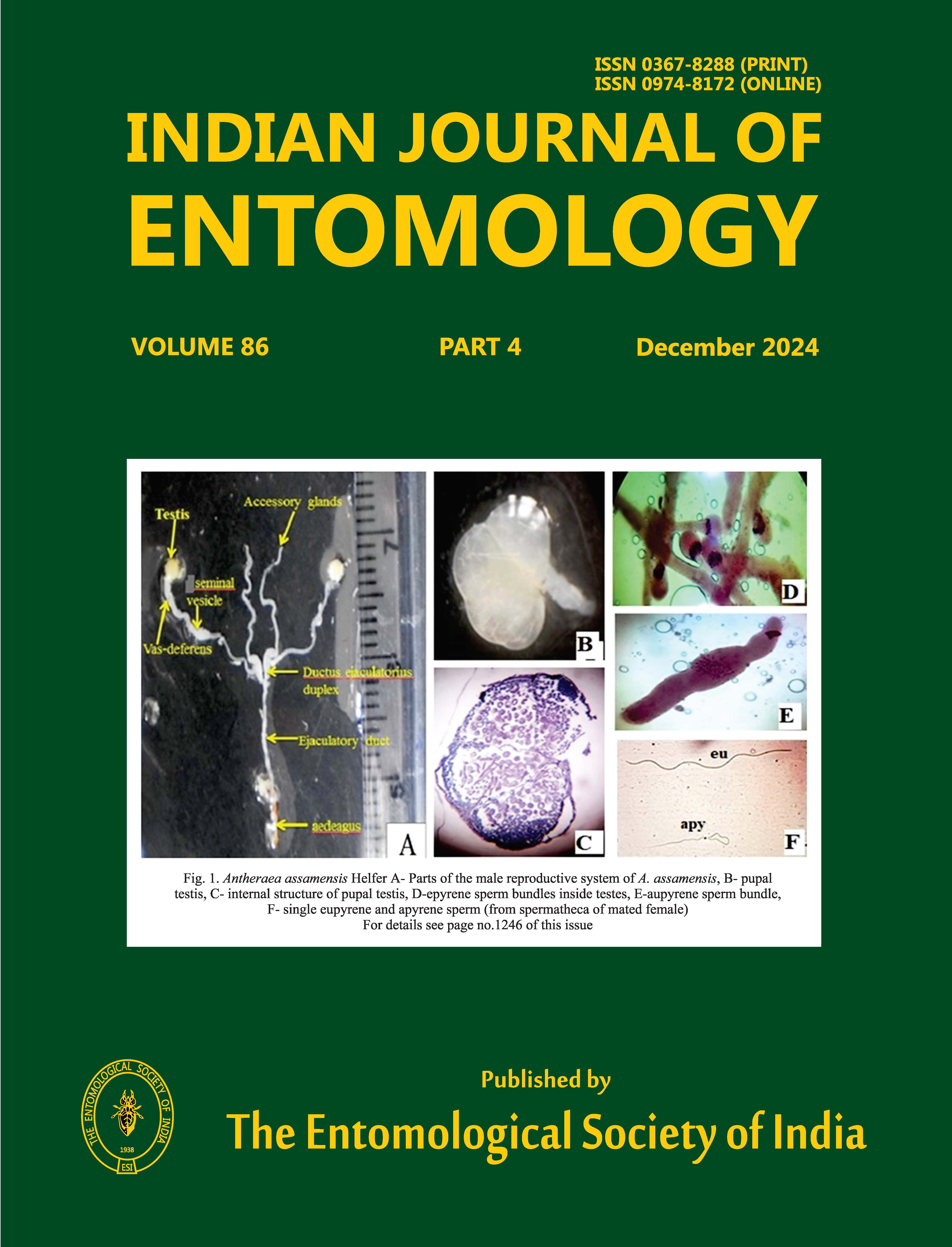 Journal Cover 1