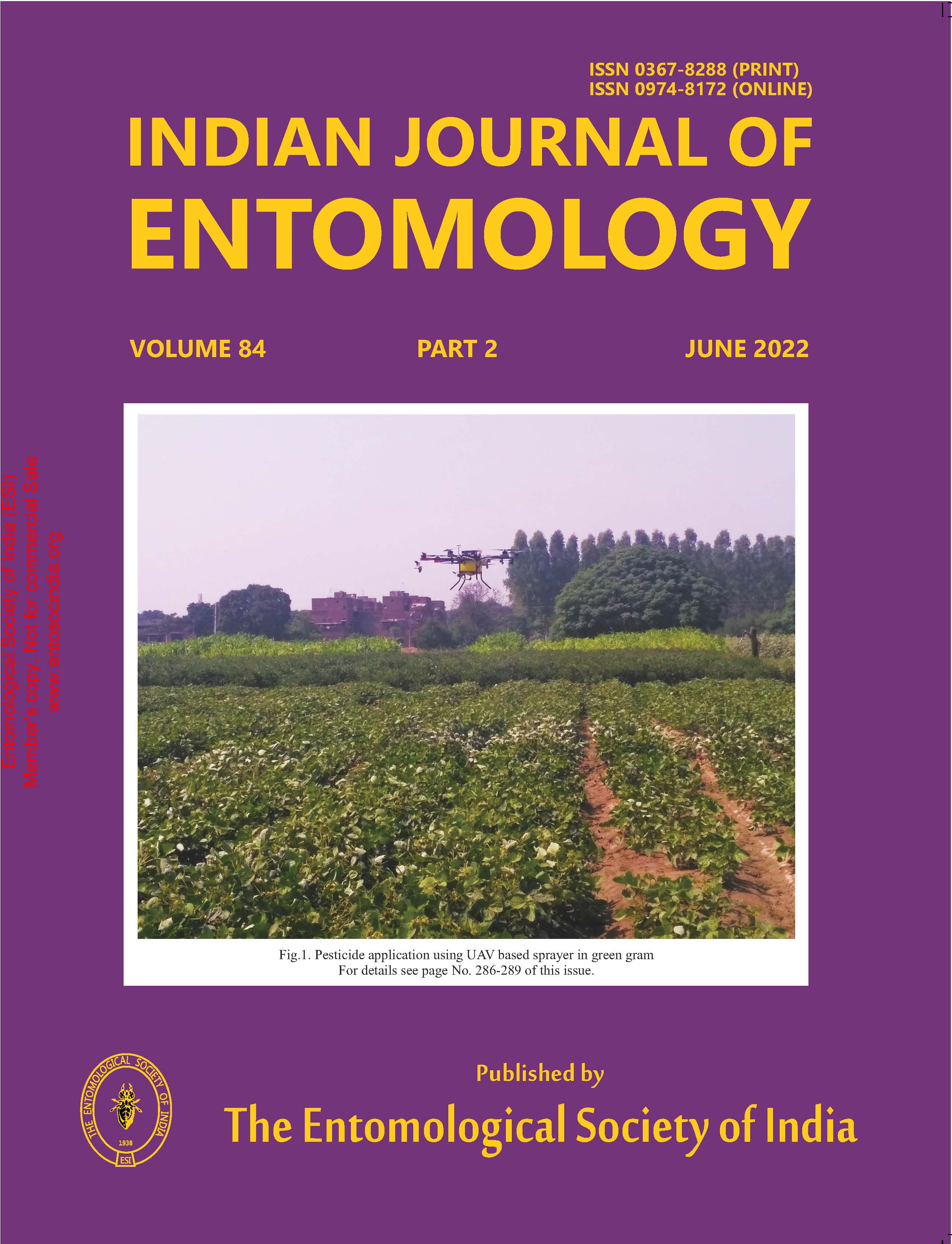 Journal Cover 1