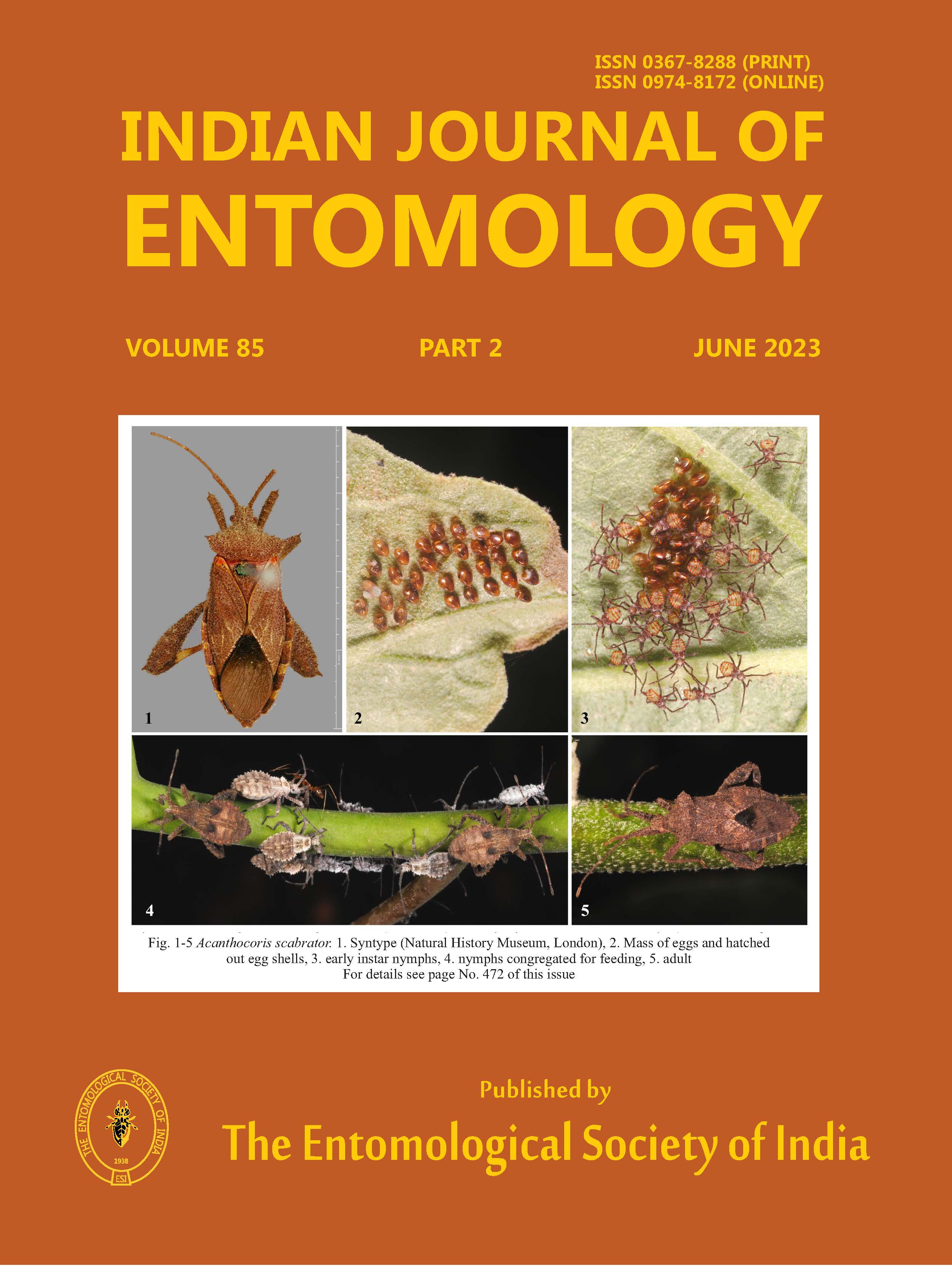 Journal Cover 1