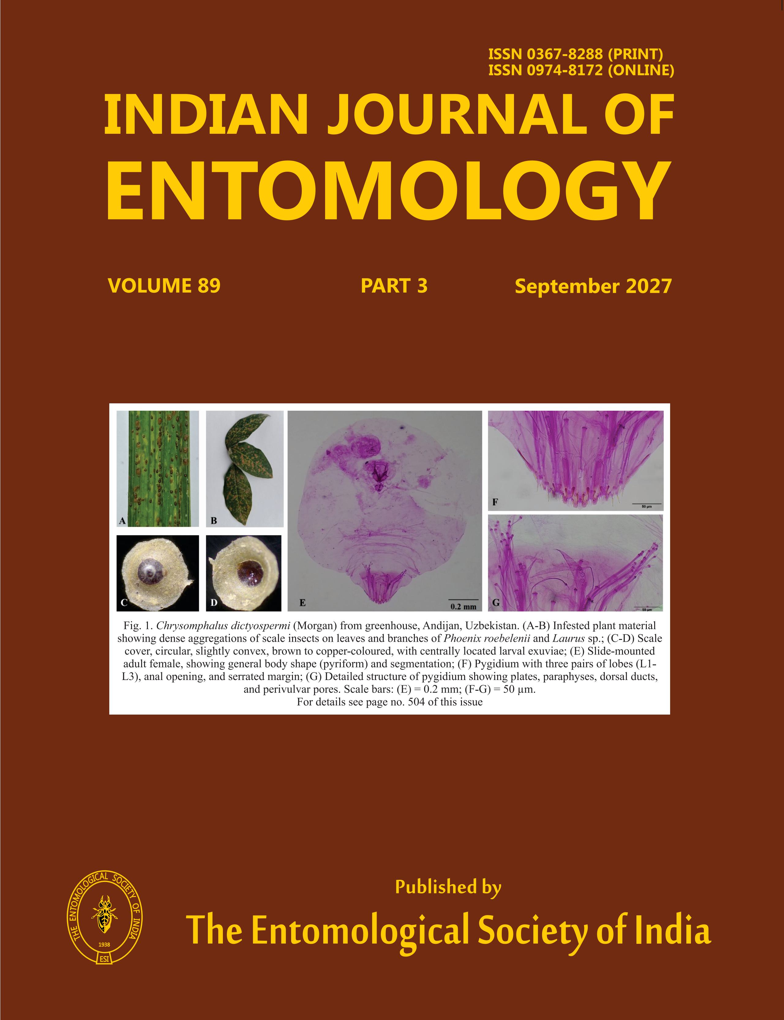 Journal Cover 1