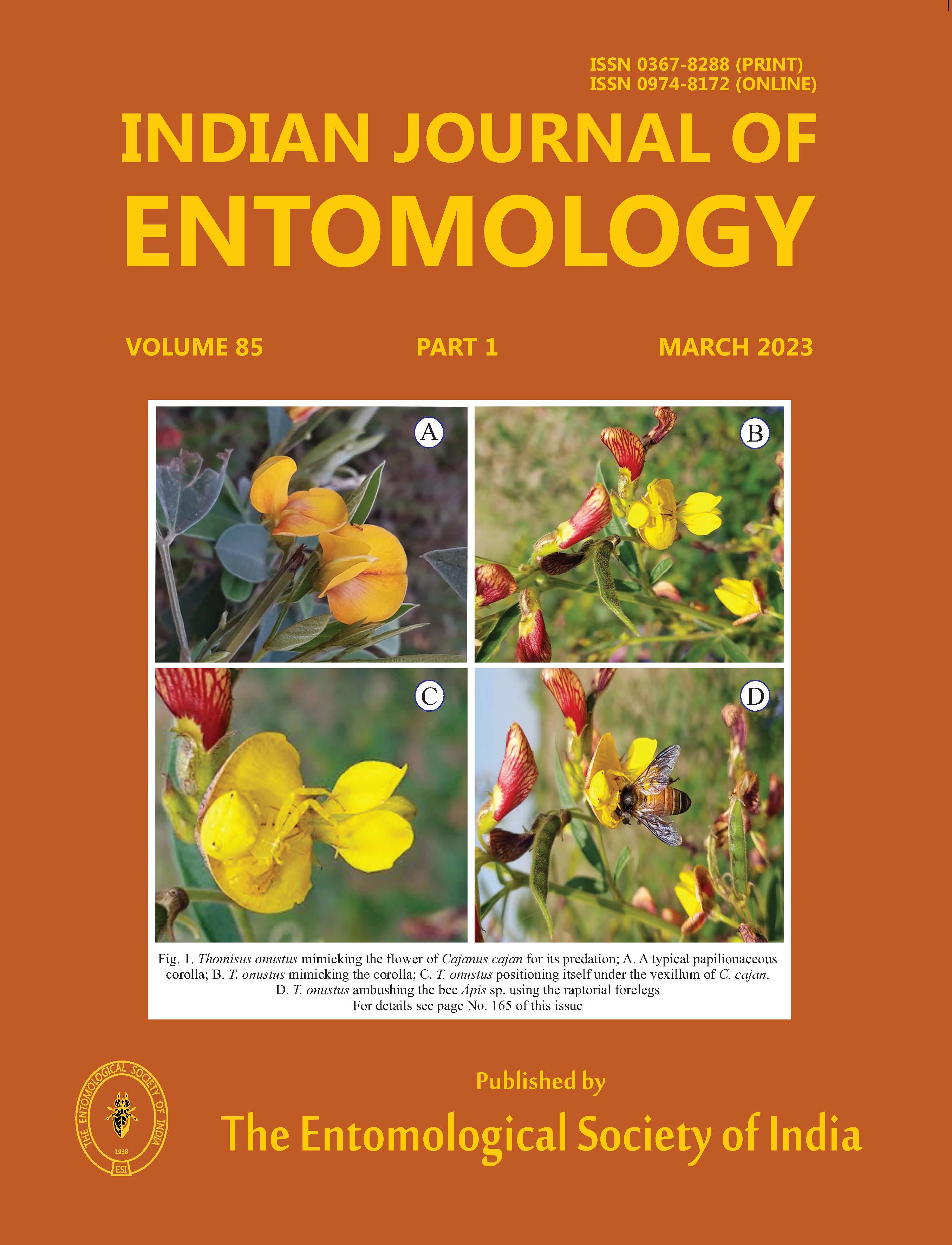 Journal Cover 1