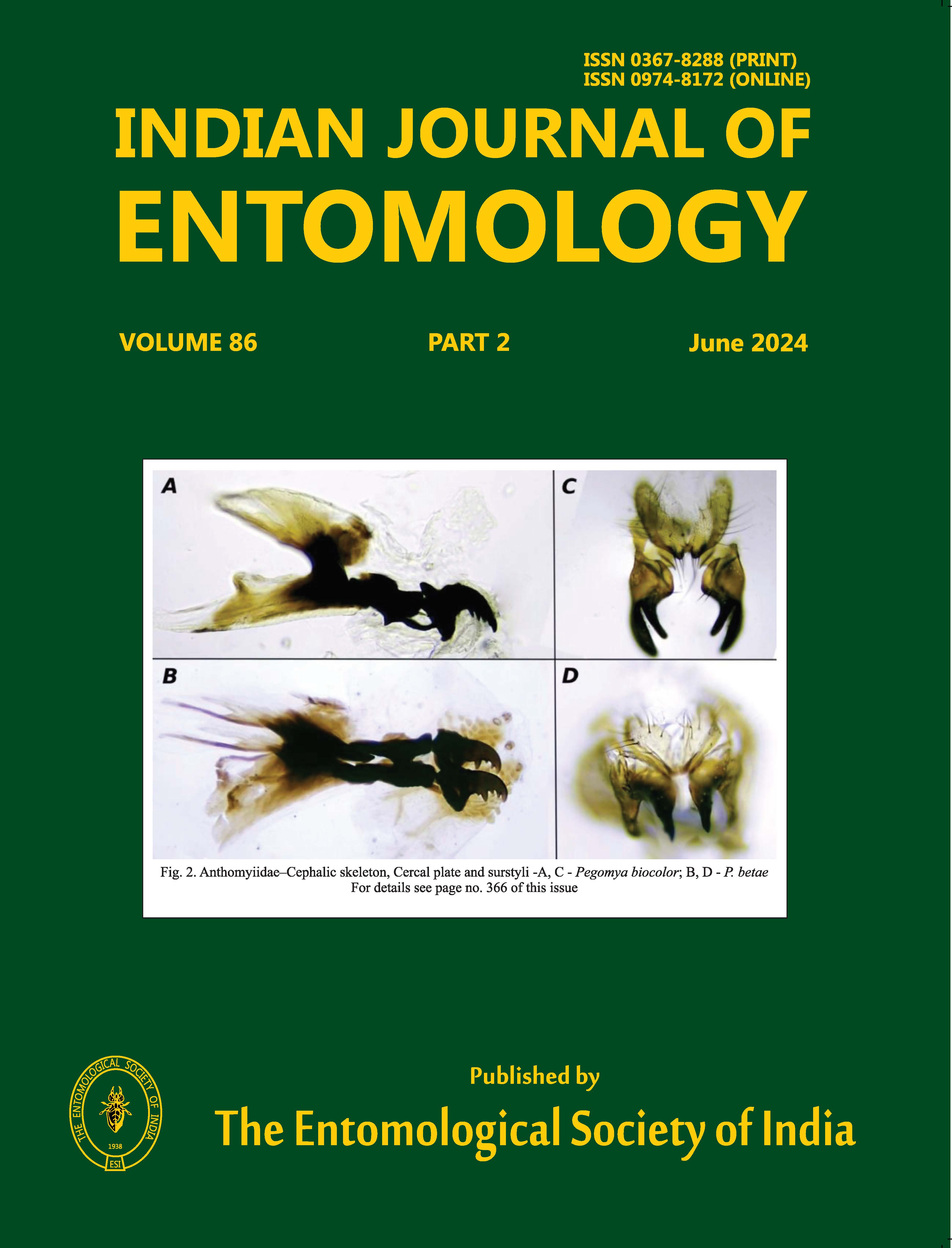 Journal Cover 1