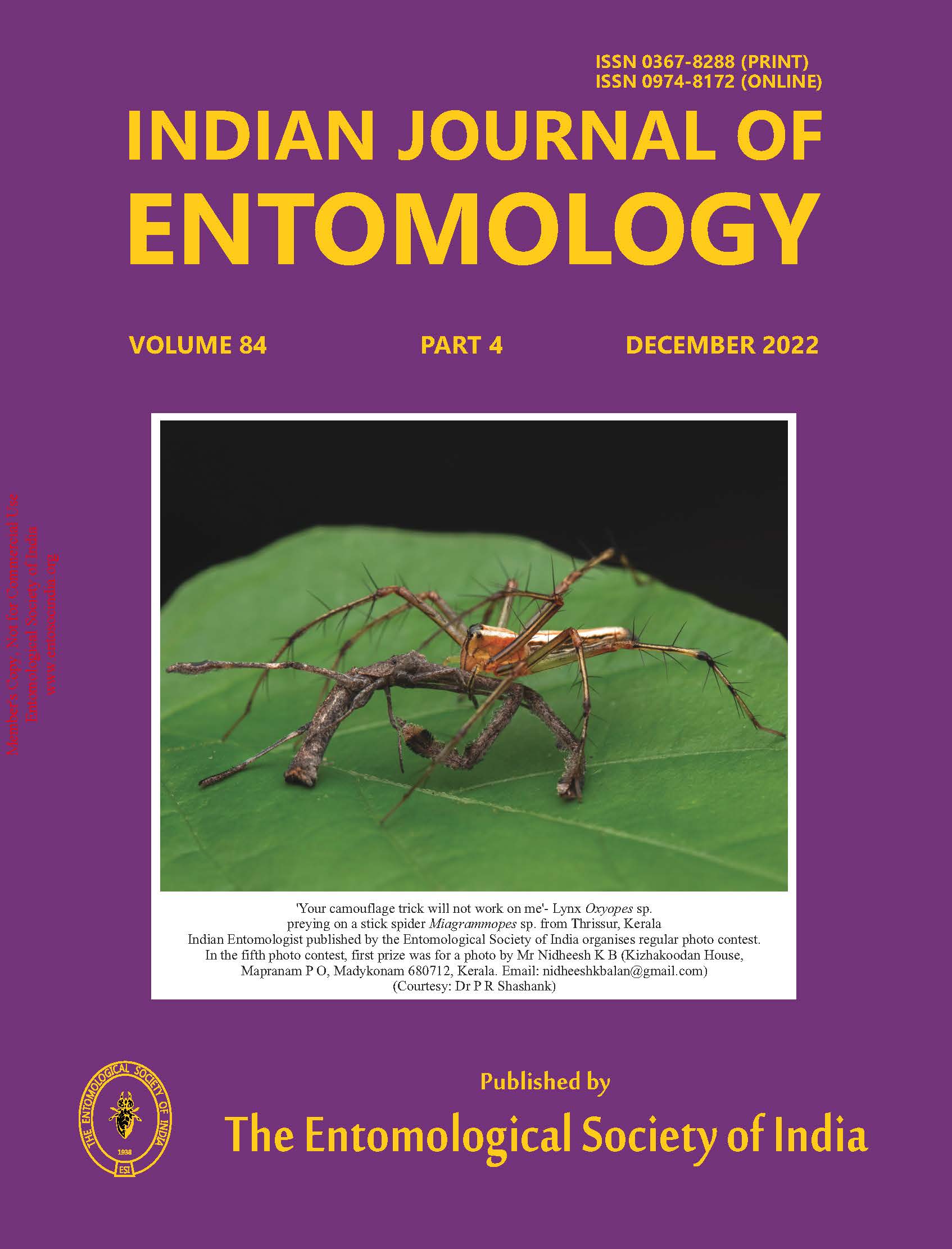 Journal Cover 1