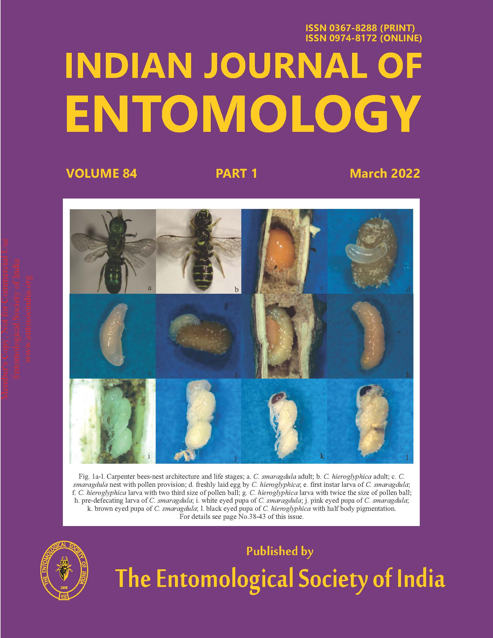 Journal Cover 1