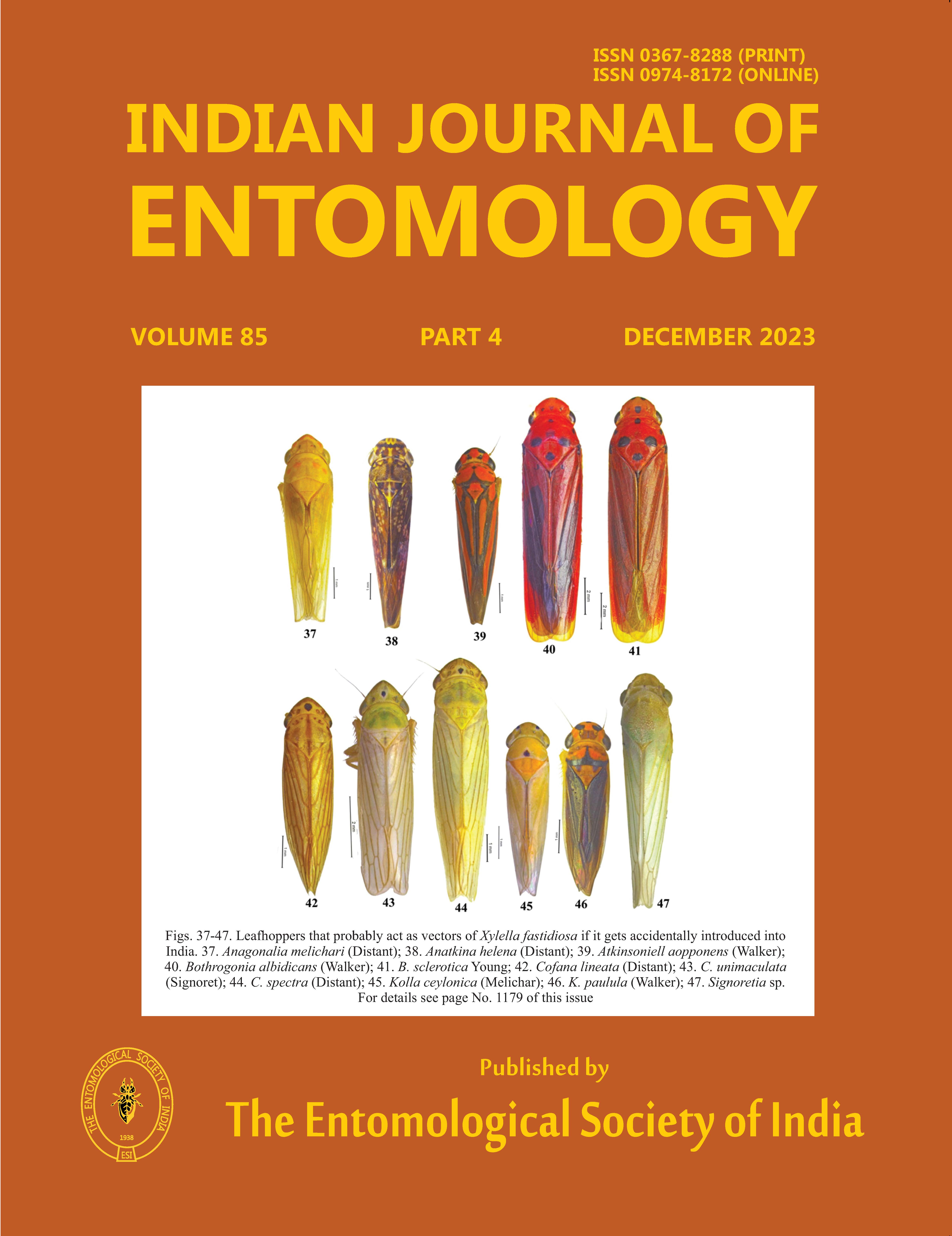Journal Cover 1